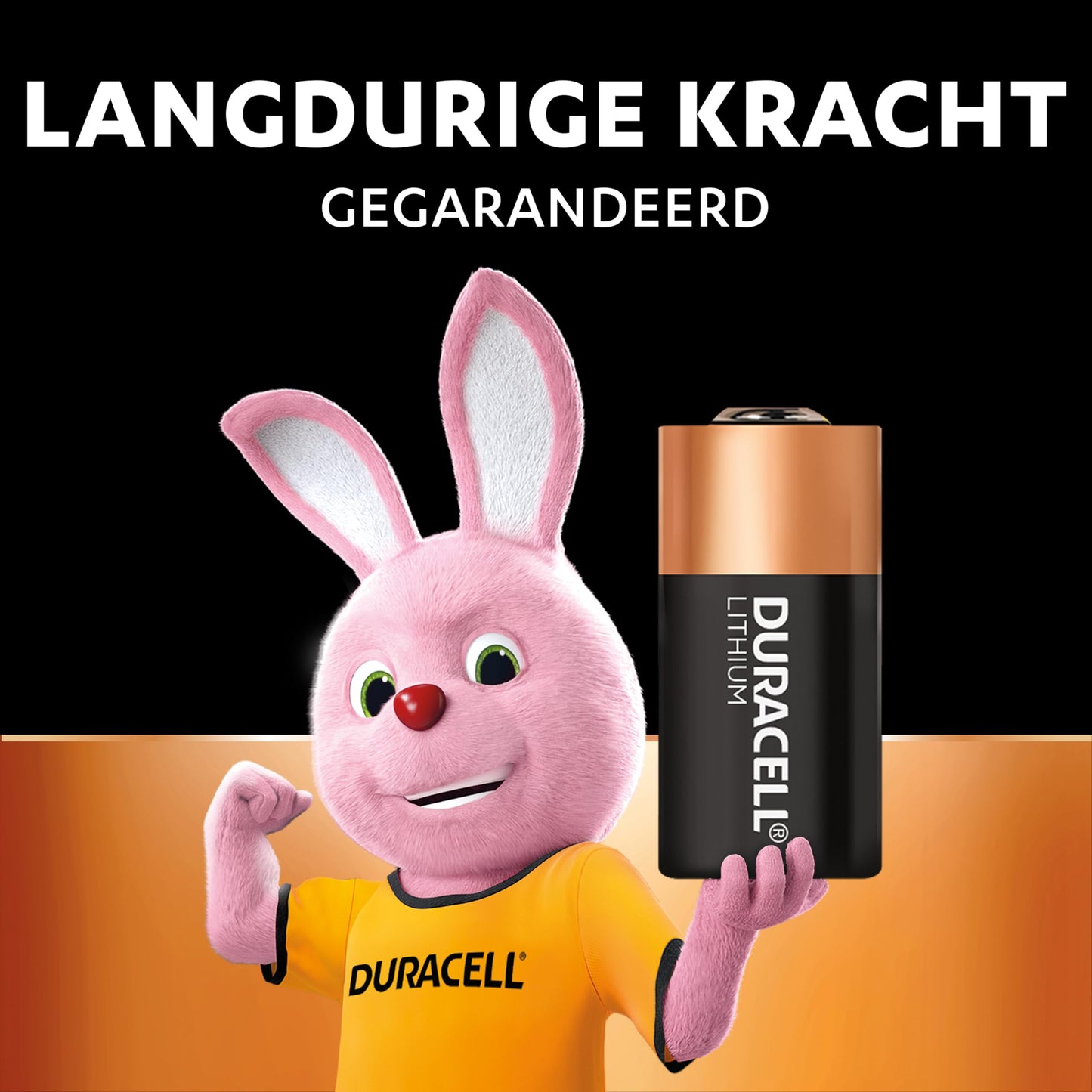Duracell Silver Oxide Battery 1.5 V, Batteries for Watches, Size 123
