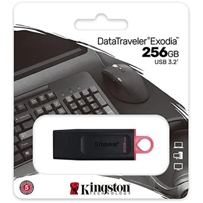 Kingston DataTraveler Exodia DTX/256GB Flash Drive USB 3.2 Gen 1 - met beschermkap en sleutelring in meerdere kleuren - NLMAX