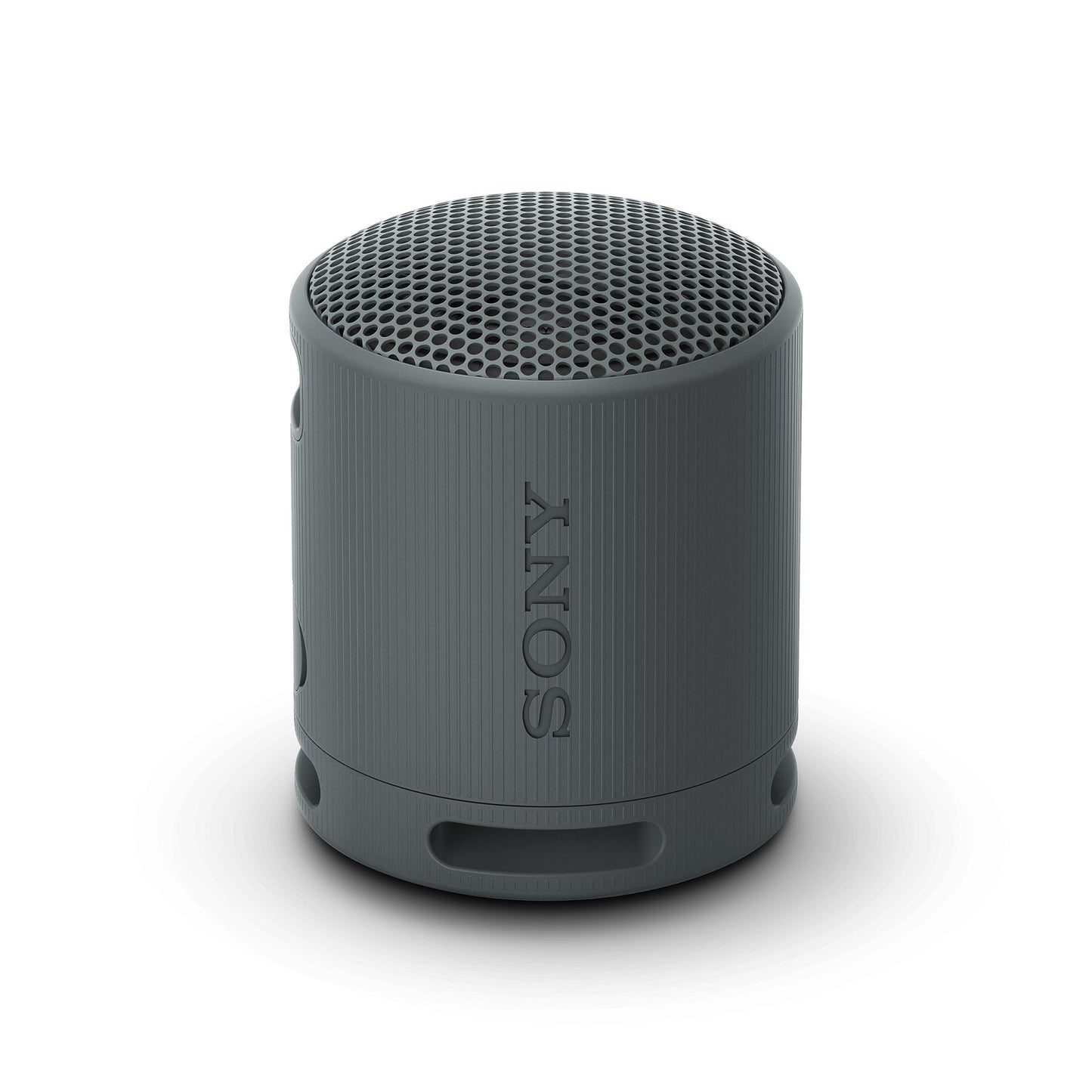 Sony SRS-XB100 Bluetooth-luidspreker, licht, compact, waterdicht en stofdicht IP67, tot 16 uur accu, aanpasbare band, zwart - NLMAX