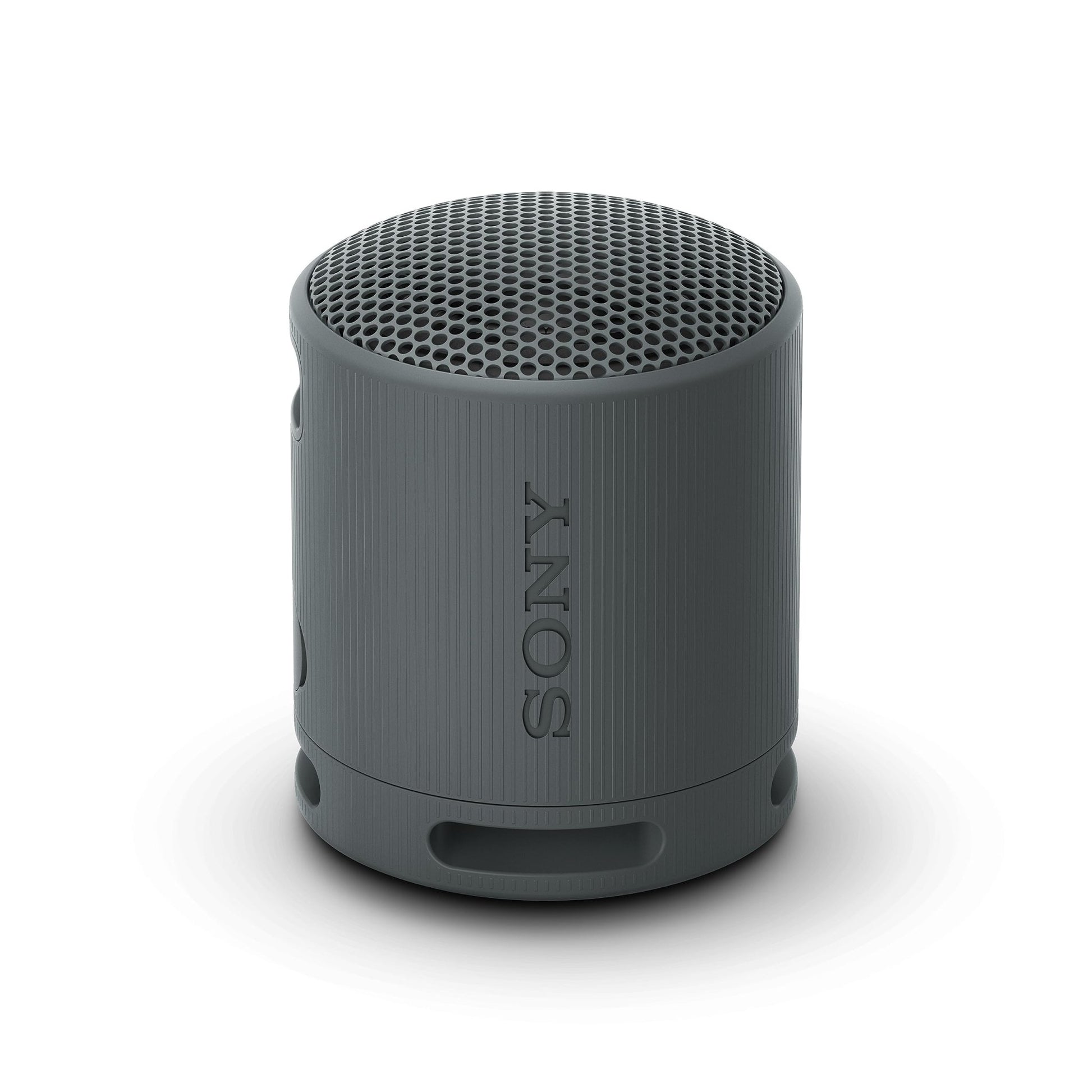 Sony SRS-XB100 Bluetooth-luidspreker, licht, compact, waterdicht en stofdicht IP67, tot 16 uur accu, aanpasbare band, zwart - NLMAX